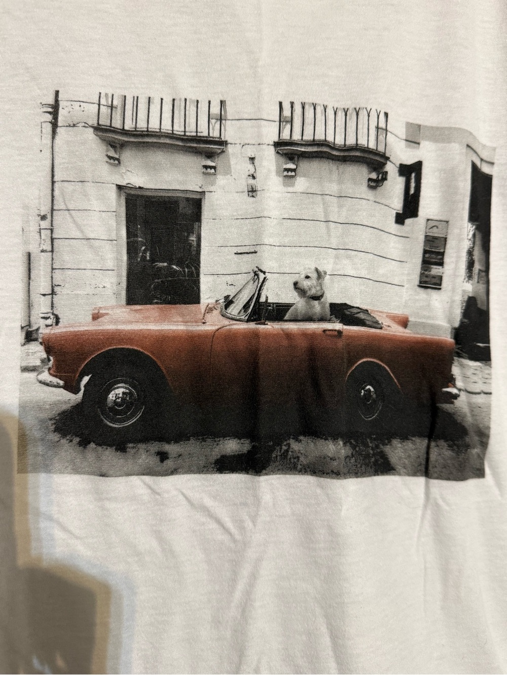 Banana Republic White Tee with Red Car and Dog Graphic